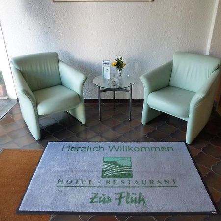 Hotel Zur Flueh Bad Säckingen Eksteriør bilde